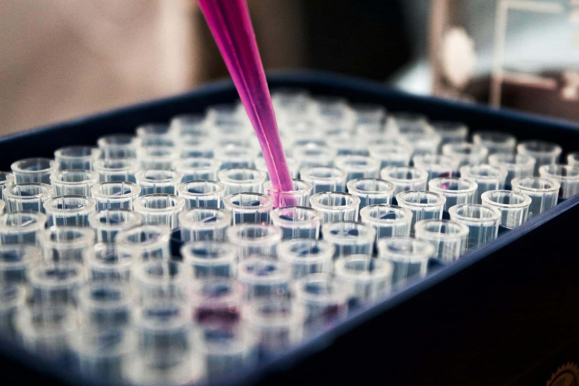Research Programs